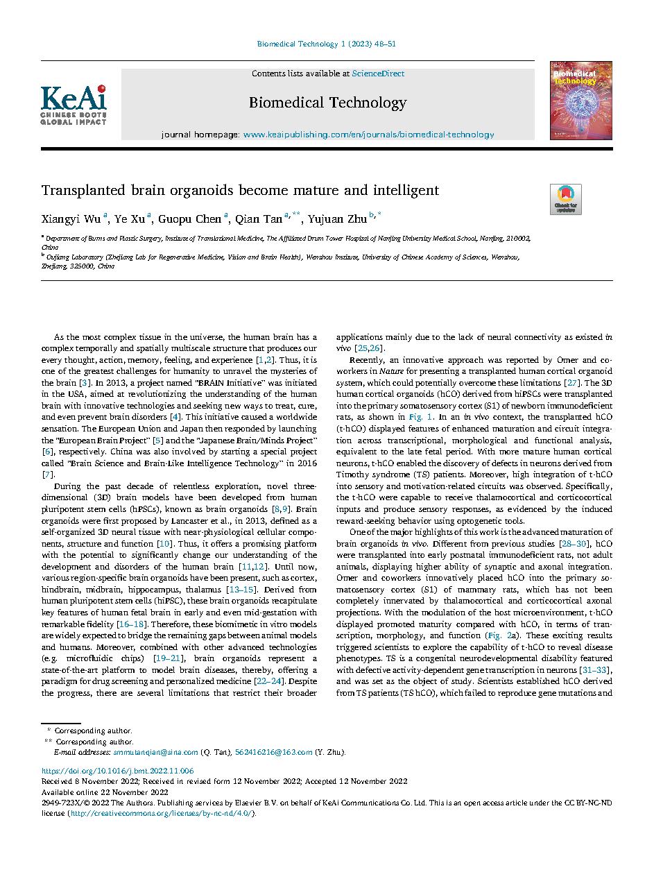 Transplanted brain organoids become mature and intelligent